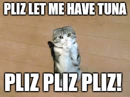 begging cat | PLIZ LET ME HAVE TUNA; PLIZ PLIZ PLIZ! | image tagged in begging cat | made w/ Imgflip meme maker