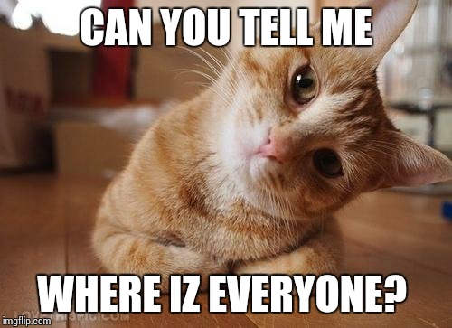 Curious Question Cat | CAN YOU TELL ME; WHERE IZ EVERYONE? | image tagged in curious question cat | made w/ Imgflip meme maker