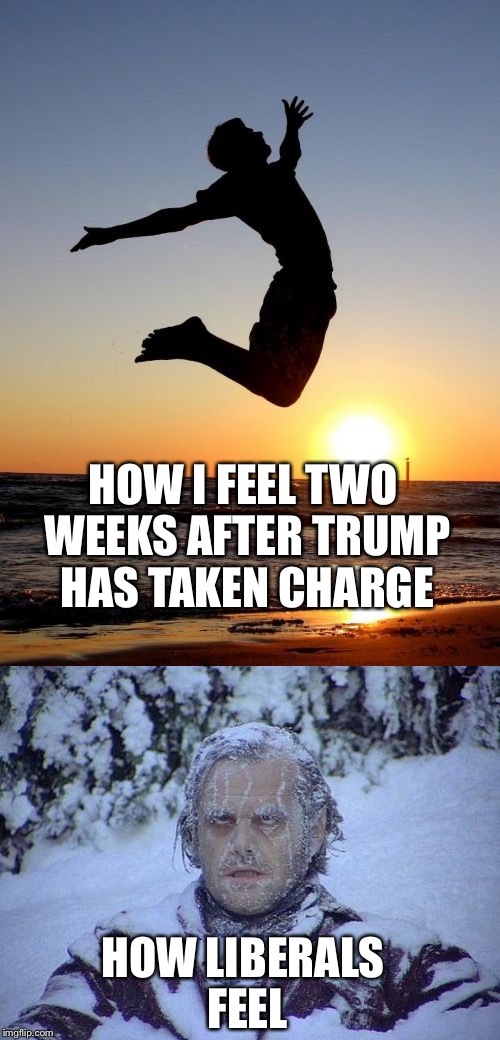 Life is good | HOW I FEEL TWO WEEKS AFTER TRUMP HAS TAKEN CHARGE; HOW LIBERALS FEEL | image tagged in frozen jack | made w/ Imgflip meme maker