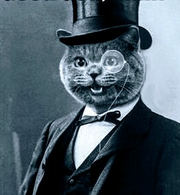 High Quality Cat top hat monacle Blank Meme Template