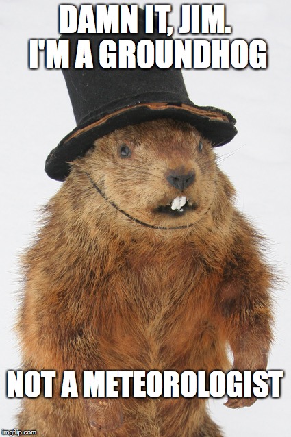 Groundhog | DAMN IT, JIM. I'M A GROUNDHOG; NOT A METEOROLOGIST | image tagged in groundhog | made w/ Imgflip meme maker