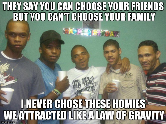 THEY SAY YOU CAN CHOOSE YOUR FRIENDS BUT YOU CAN'T CHOOSE YOUR FAMILY; I NEVER CHOSE THESE HOMIES WE ATTRACTED LIKE A LAW OF GRAVITY | image tagged in memes | made w/ Imgflip meme maker