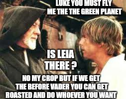 LUKE YOU MUST FLY ME THE THE GREEN PLANET IS LEIA THERE ? NO MY CROP BUT IF WE GET THE BEFORE VADER YOU CAN GET ROASTED AND DO WHOEVER YOU W | made w/ Imgflip meme maker