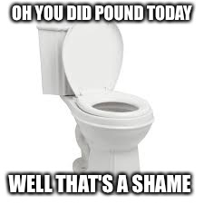 Toilet | OH YOU DID POUND TODAY; WELL THAT'S A SHAME | image tagged in toilet | made w/ Imgflip meme maker