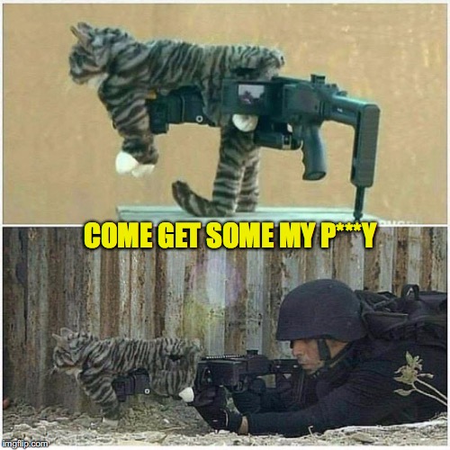 Stalking The Prey | COME GET SOME MY P***Y | image tagged in sexual assault,weapons,sniper | made w/ Imgflip meme maker
