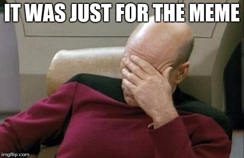 Captain Picard Facepalm Meme | IT WAS JUST FOR THE MEME | image tagged in memes,captain picard facepalm | made w/ Imgflip meme maker
