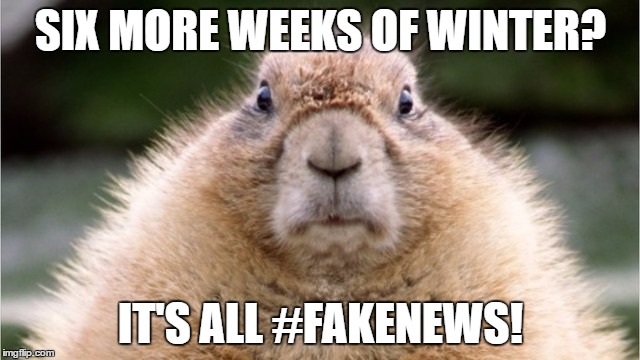 Fake Ground Hog | SIX MORE WEEKS OF WINTER? IT'S ALL #FAKENEWS! | image tagged in groundhog day,groundhog,fake news | made w/ Imgflip meme maker
