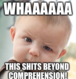 Skeptical Baby Meme | WHAAAAAA THIS SHITS BEYOND COMPREHENSION! | image tagged in memes,skeptical baby | made w/ Imgflip meme maker