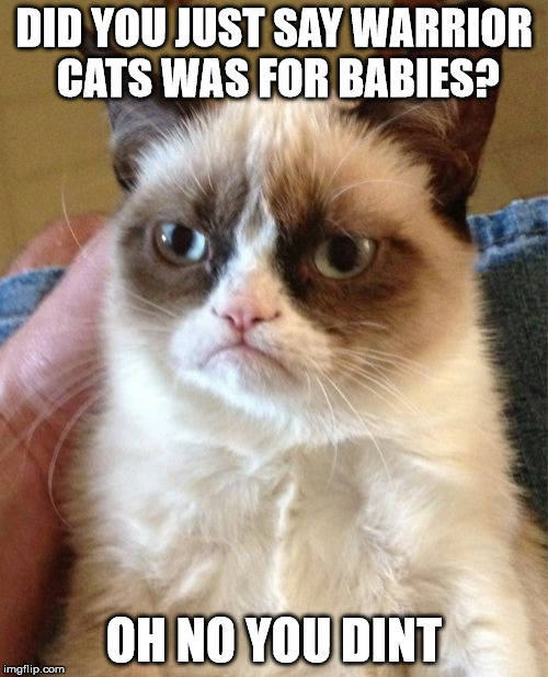 Grumpy Cat Meme | DID YOU JUST SAY WARRIOR CATS WAS FOR BABIES? OH NO YOU DINT | image tagged in memes,grumpy cat | made w/ Imgflip meme maker