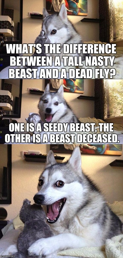 Bad Pun Dog Meme | WHAT'S THE DIFFERENCE BETWEEN A TALL NASTY BEAST AND A DEAD FLY? ONE IS A SEEDY BEAST, THE OTHER IS A BEAST DECEASED. | image tagged in memes,bad pun dog | made w/ Imgflip meme maker