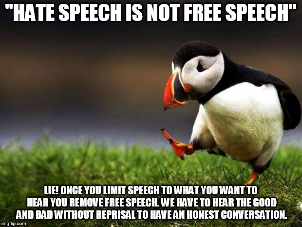 Unpopular Opinion Puffin Meme | "HATE SPEECH IS NOT FREE SPEECH"; LIE! ONCE YOU LIMIT SPEECH TO WHAT YOU WANT TO HEAR YOU REMOVE FREE SPEECH. WE HAVE TO HEAR THE GOOD AND BAD WITHOUT REPRISAL TO HAVE AN HONEST CONVERSATION. | image tagged in memes,unpopular opinion puffin | made w/ Imgflip meme maker
