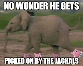 NO WONDER HE GETS PICKED ON BY THE JACKALS | made w/ Imgflip meme maker