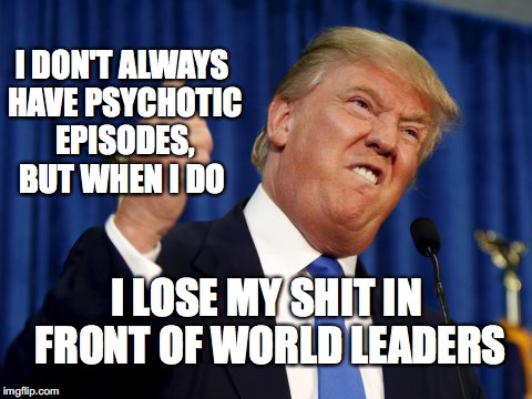Trump Goes Psycho | I DON'T ALWAYS HAVE PSYCHOTIC EPISODES, BUT WHEN I DO; I LOSE MY SHIT IN FRONT OF WORLD LEADERS | image tagged in donald trump,psychotic episodes,australia,bobcrespodotcom | made w/ Imgflip meme maker