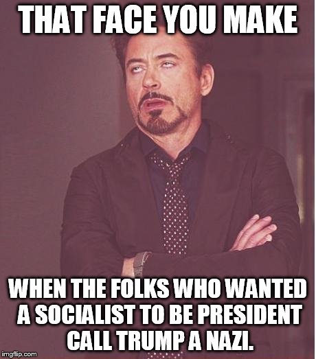 News flash: NAZI is short for national socialist | THAT FACE YOU MAKE; WHEN THE FOLKS WHO WANTED A SOCIALIST TO BE PRESIDENT CALL TRUMP A NAZI. | image tagged in memes,face you make robert downey jr | made w/ Imgflip meme maker