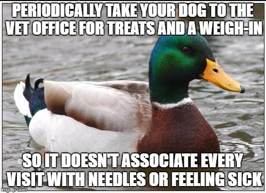 Actual Advice Mallard Meme | PERIODICALLY TAKE YOUR DOG TO THE VET OFFICE FOR TREATS AND A WEIGH-IN; SO IT DOESN'T ASSOCIATE EVERY VISIT WITH NEEDLES OR FEELING SICK | image tagged in memes,actual advice mallard | made w/ Imgflip meme maker