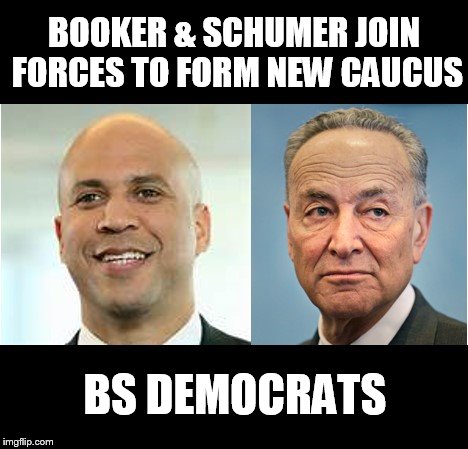 Democrat | BOOKER & SCHUMER JOIN FORCES TO FORM NEW CAUCUS; BS DEMOCRATS | image tagged in democrat | made w/ Imgflip meme maker