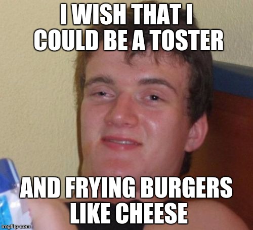 10 Guy | I WISH THAT I COULD BE A TOSTER; AND FRYING BURGERS LIKE CHEESE | image tagged in memes,10 guy | made w/ Imgflip meme maker