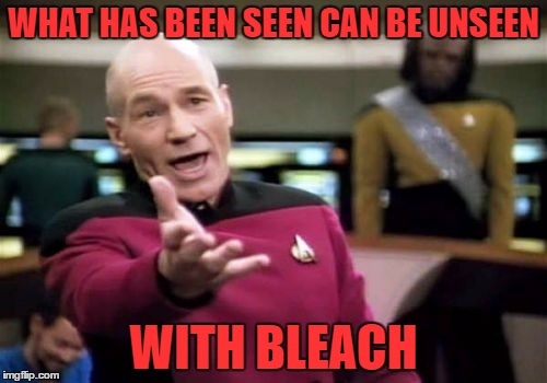 Picard Wtf Meme | WHAT HAS BEEN SEEN CAN BE UNSEEN; WITH BLEACH | image tagged in memes,picard wtf | made w/ Imgflip meme maker