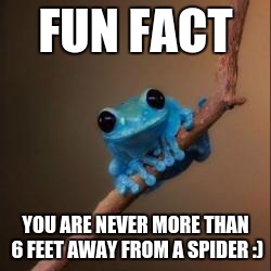 Fun Fact Frog | FUN FACT; YOU ARE NEVER MORE THAN 6 FEET AWAY FROM A SPIDER :) | image tagged in fun fact frog | made w/ Imgflip meme maker