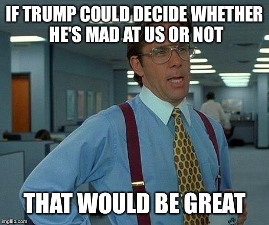 That Would Be Great Meme | IF TRUMP COULD DECIDE WHETHER HE'S MAD AT US OR NOT; THAT WOULD BE GREAT | image tagged in memes,that would be great,AdviceAnimals | made w/ Imgflip meme maker
