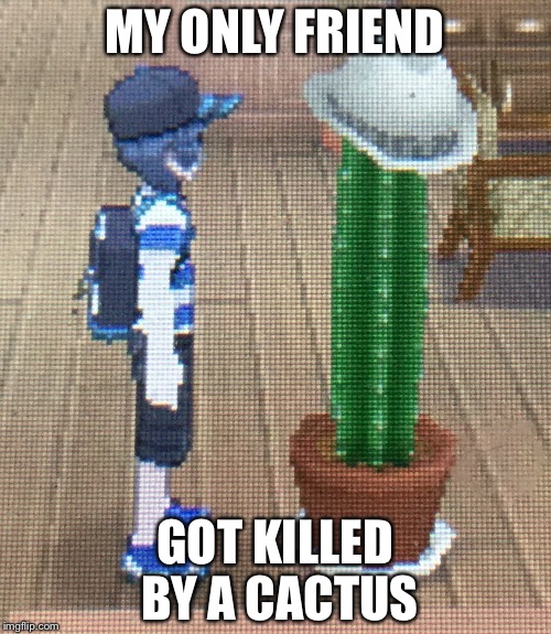 Forever Alone Pokemon Sun and Moon | MY ONLY FRIEND; GOT KILLED BY A CACTUS | image tagged in forever alone pokemon sun and moon | made w/ Imgflip meme maker