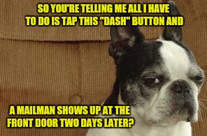 He's a skeptical old chap.  | SO YOU'RE TELLING ME ALL I HAVE TO DO IS TAP THIS "DASH" BUTTON AND; A MAILMAN SHOWS UP AT THE FRONT DOOR TWO DAYS LATER? | image tagged in skeptical dog,funny dogs | made w/ Imgflip meme maker
