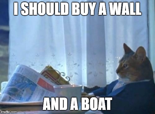 I Should Buy a Boat Cat | I SHOULD BUY A WALL; AND A BOAT | image tagged in i should buy a boat cat | made w/ Imgflip meme maker