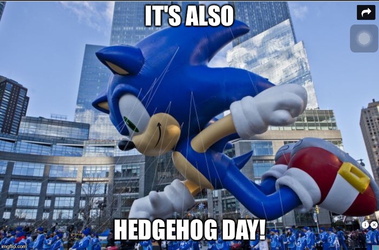 Sonic balloon  | IT'S ALSO; HEDGEHOG DAY! | image tagged in sonic balloon | made w/ Imgflip meme maker