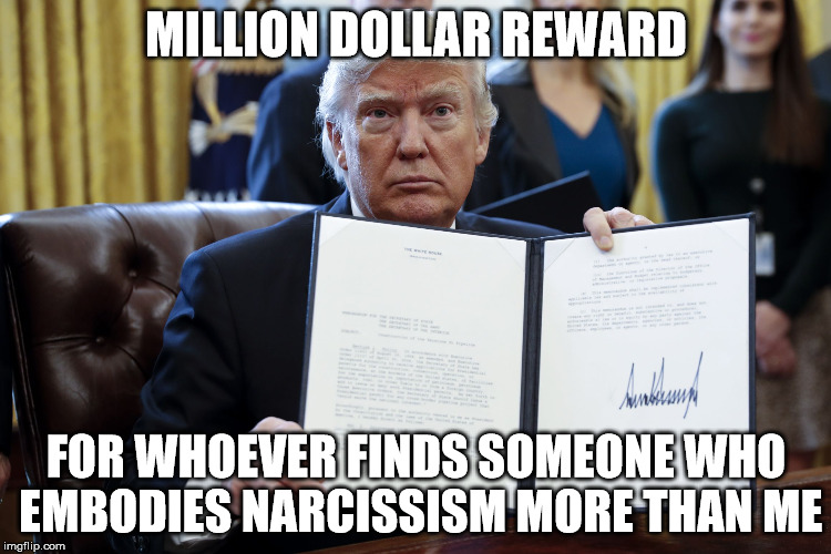 Donald Trump Executive Order | MILLION DOLLAR REWARD; FOR WHOEVER FINDS SOMEONE WHO EMBODIES NARCISSISM MORE THAN ME | image tagged in donald trump executive order | made w/ Imgflip meme maker