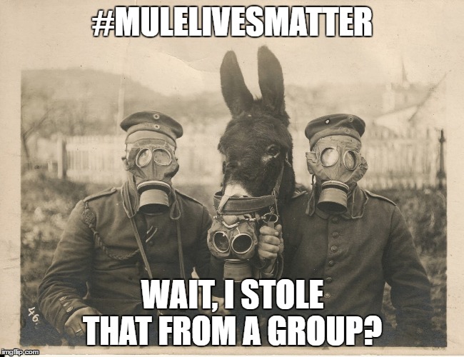 MuleLivesMatter | #MULELIVESMATTER; WAIT, I STOLE THAT FROM A GROUP? | image tagged in wwi | made w/ Imgflip meme maker