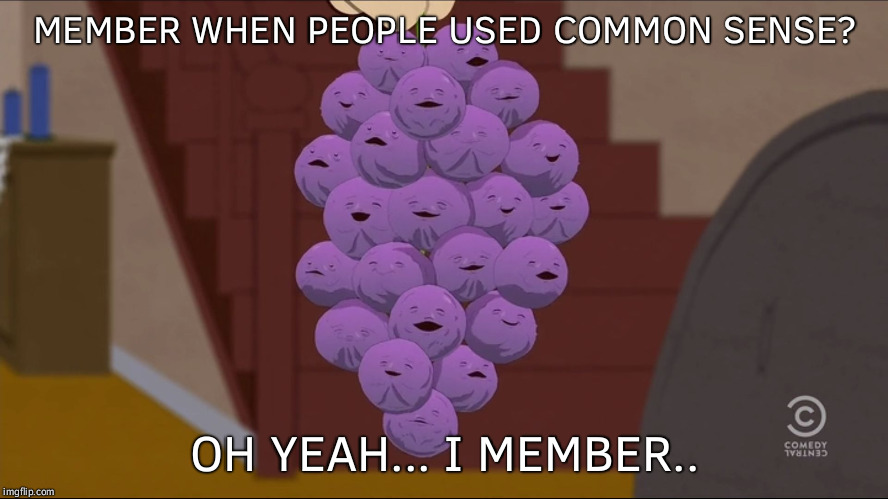 Member Berries | MEMBER WHEN PEOPLE USED COMMON SENSE? OH YEAH... I MEMBER.. | image tagged in memes,member berries | made w/ Imgflip meme maker