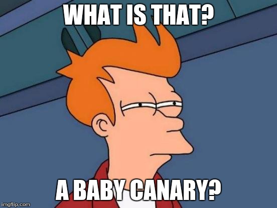 Futurama Fry Meme | WHAT IS THAT? A BABY CANARY? | image tagged in memes,futurama fry | made w/ Imgflip meme maker