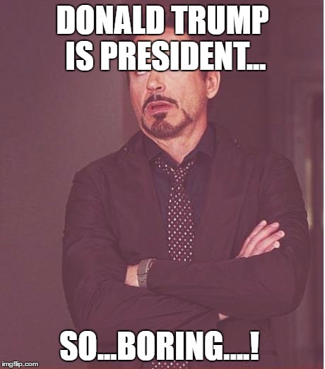 Face You Make Robert Downey Jr Meme | DONALD TRUMP IS PRESIDENT... SO...BORING....! | image tagged in memes,face you make robert downey jr | made w/ Imgflip meme maker