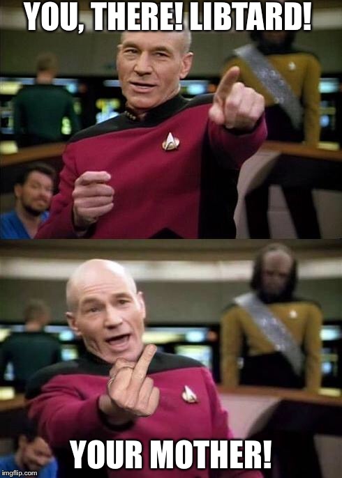 Captain Picard | YOU, THERE! LIBTARD! YOUR MOTHER! | image tagged in captain picard | made w/ Imgflip meme maker