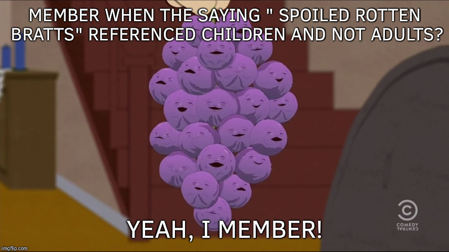 Member Berries | MEMBER WHEN THE SAYING " SPOILED ROTTEN BRATTS" REFERENCED CHILDREN AND NOT ADULTS? YEAH, I MEMBER! | image tagged in memes,member berries | made w/ Imgflip meme maker