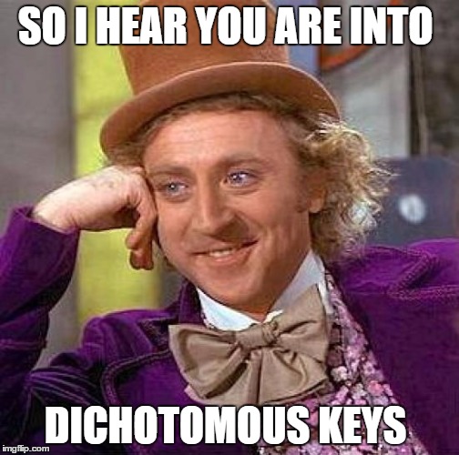 Creepy Condescending Wonka Meme | SO I HEAR YOU ARE INTO; DICHOTOMOUS KEYS | image tagged in memes,creepy condescending wonka | made w/ Imgflip meme maker