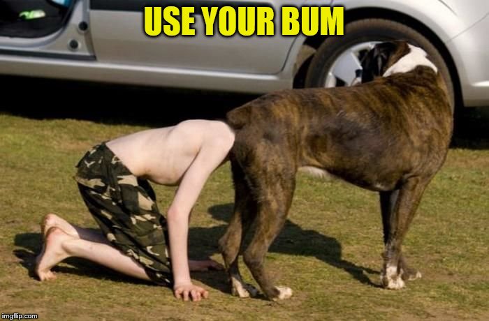 Boxer Butt | USE YOUR BUM | image tagged in boxer butt | made w/ Imgflip meme maker