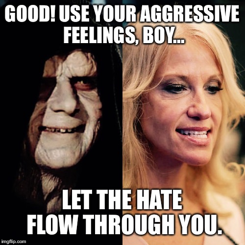 GOOD! USE YOUR AGGRESSIVE FEELINGS, BOY... LET THE HATE FLOW THROUGH YOU. | image tagged in emperor conway | made w/ Imgflip meme maker