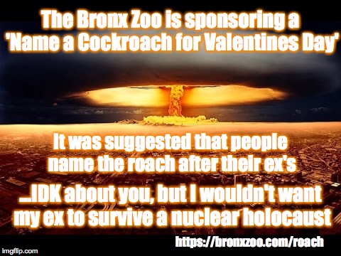 No Thank You | The Bronx Zoo is sponsoring a 'Name a Cockroach for Valentines Day'; It was suggested that people name the roach after their ex's; ...IDK about you, but I wouldn't want my ex to survive a nuclear holocaust; https://bronxzoo.com/roach | image tagged in nuke,ex,cockroach,nuclear,holocaust | made w/ Imgflip meme maker