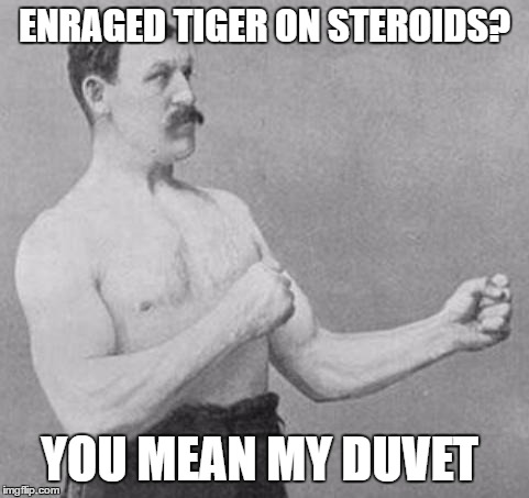 Overly Manly Man | ENRAGED TIGER ON STEROIDS? YOU MEAN MY DUVET | image tagged in overly manly man | made w/ Imgflip meme maker