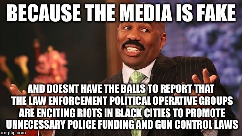 Steve Harvey Meme | BECAUSE THE MEDIA IS FAKE AND DOESNT HAVE THE BALLS TO REPORT THAT THE LAW ENFORCEMENT POLITICAL OPERATIVE GROUPS ARE ENCITING RIOTS IN BLAC | image tagged in memes,steve harvey | made w/ Imgflip meme maker