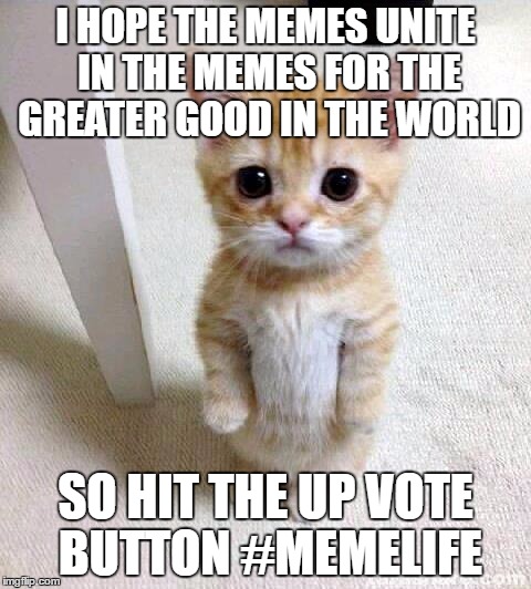 Cute Cat Meme | I HOPE THE MEMES UNITE IN THE MEMES FOR THE GREATER GOOD IN THE WORLD; SO HIT THE UP VOTE BUTTON #MEMELIFE | image tagged in memes,cute cat | made w/ Imgflip meme maker