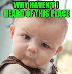 Skeptical Baby Meme | WHY HAVEN'T I HEARD OF THIS PLACE | image tagged in memes,skeptical baby | made w/ Imgflip meme maker