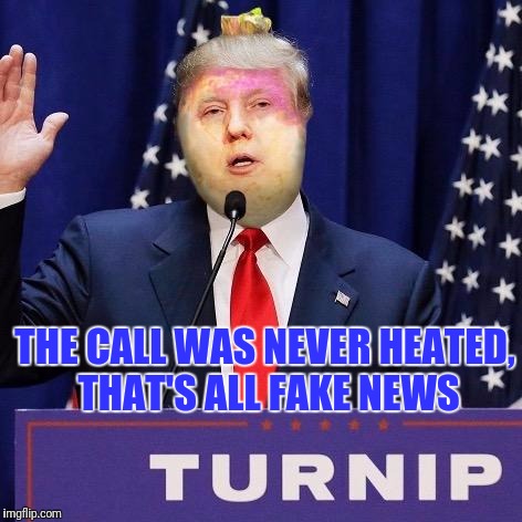THE CALL WAS NEVER HEATED, THAT'S ALL FAKE NEWS | made w/ Imgflip meme maker