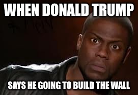 Kevin Hart | WHEN DONALD TRUMP; SAYS HE GOING TO BUILD THE WALL | image tagged in memes,kevin hart the hell | made w/ Imgflip meme maker