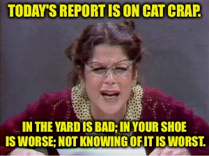 TODAY'S REPORT IS ON CAT CRAP. IN THE YARD IS BAD; IN YOUR SHOE IS WORSE; NOT KNOWING OF IT IS WORST. | made w/ Imgflip meme maker