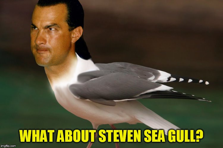 WHAT ABOUT STEVEN SEA GULL? | made w/ Imgflip meme maker