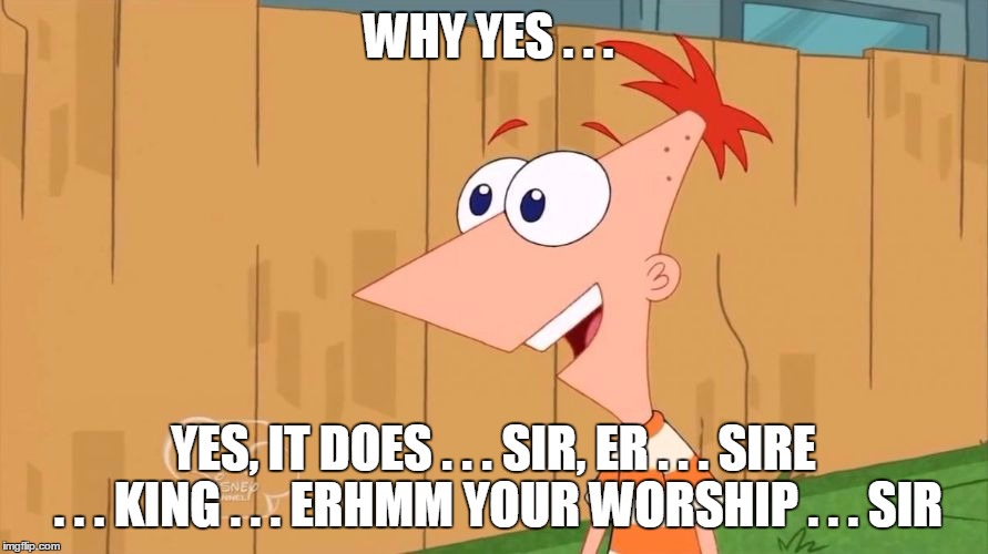 WHY YES . . . YES, IT DOES . . . SIR, ER . . . SIRE . . . KING . . . ERHMM YOUR WORSHIP . . . SIR | image tagged in phineas | made w/ Imgflip meme maker
