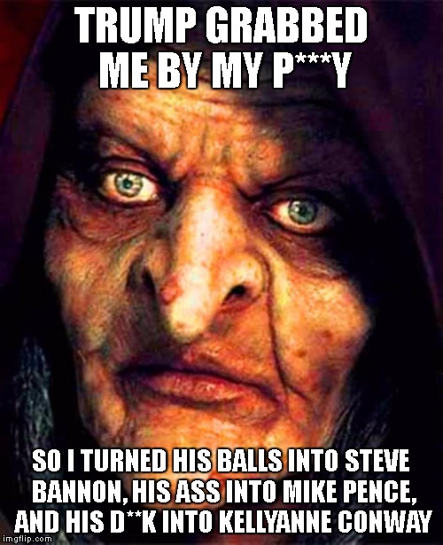 witch grabbed by trump | TRUMP GRABBED ME BY MY P***Y; SO I TURNED HIS BALLS INTO STEVE BANNON, HIS ASS INTO MIKE PENCE, AND HIS D**K INTO KELLYANNE CONWAY | image tagged in witch trump | made w/ Imgflip meme maker