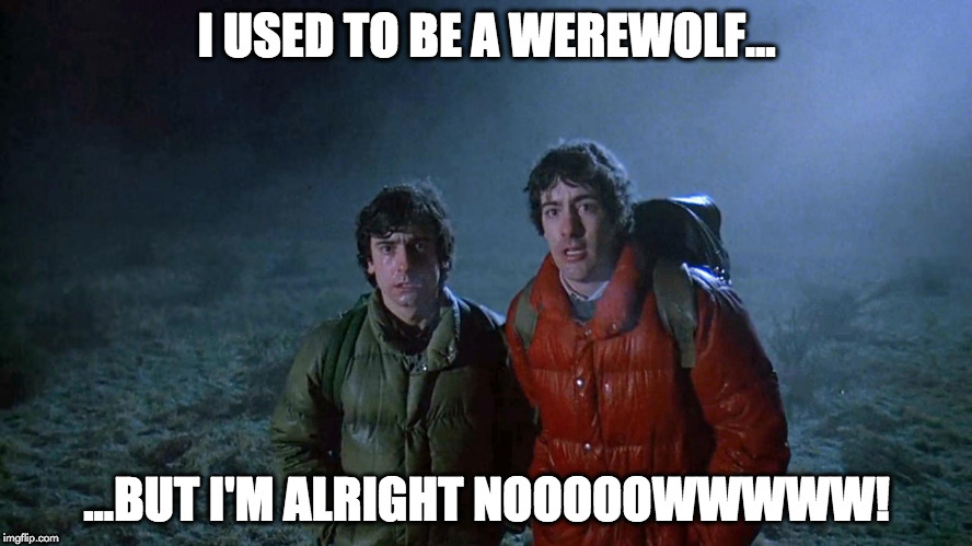I used to be a werewolf... | I USED TO BE A WEREWOLF... ...BUT I'M ALRIGHT NOOOOOWWWWW! | image tagged in american werewolf | made w/ Imgflip meme maker